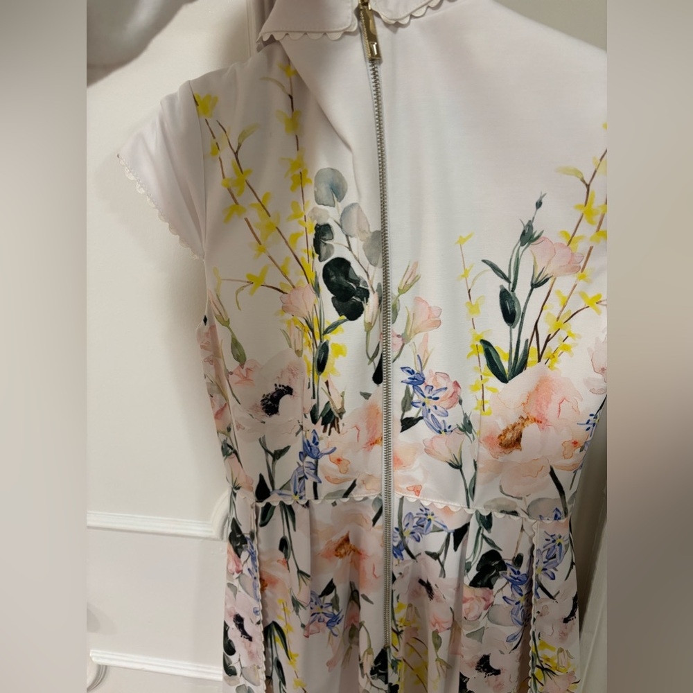 Ted Baker London Floral Fit & Flare Dress